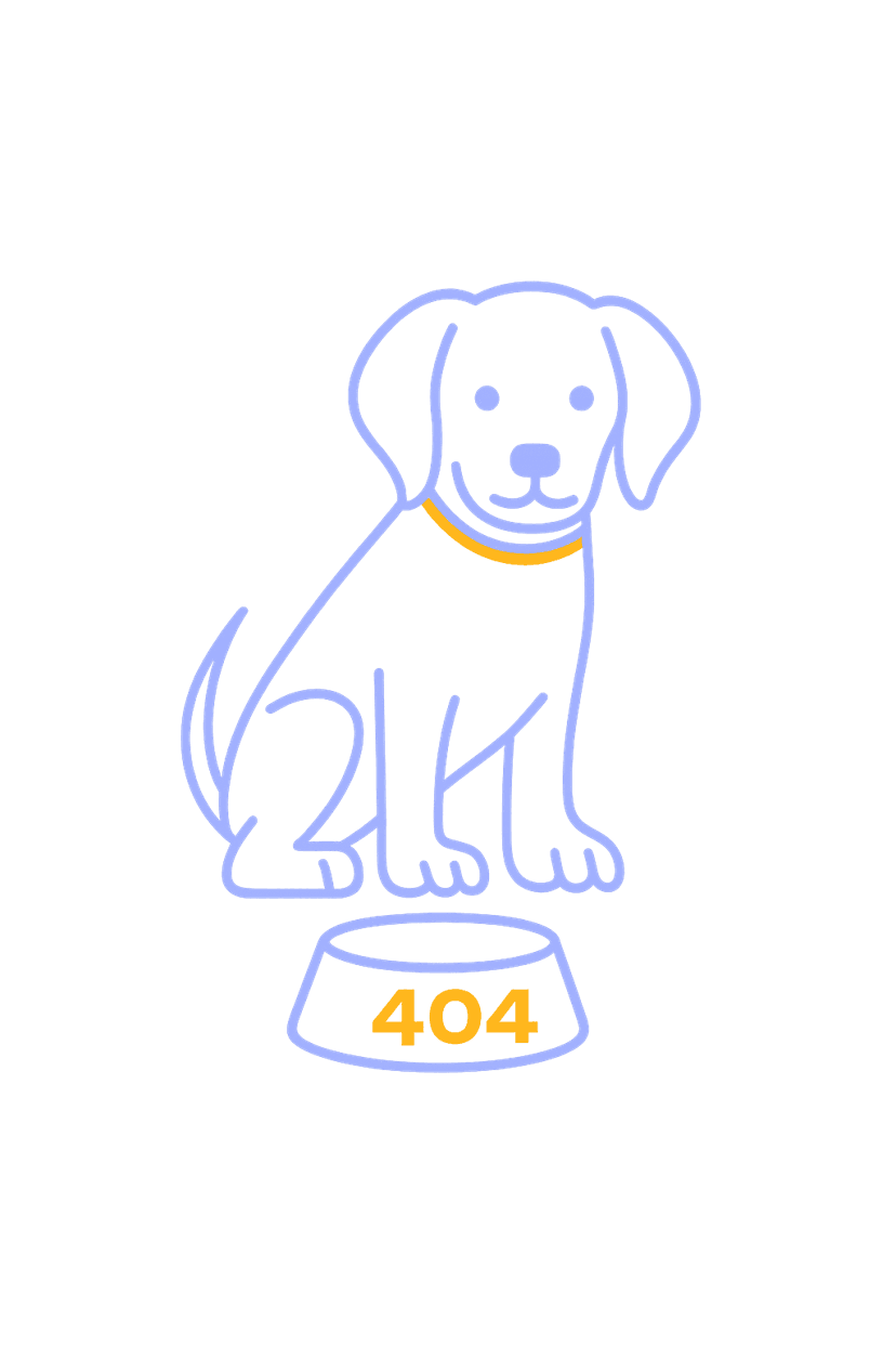 404