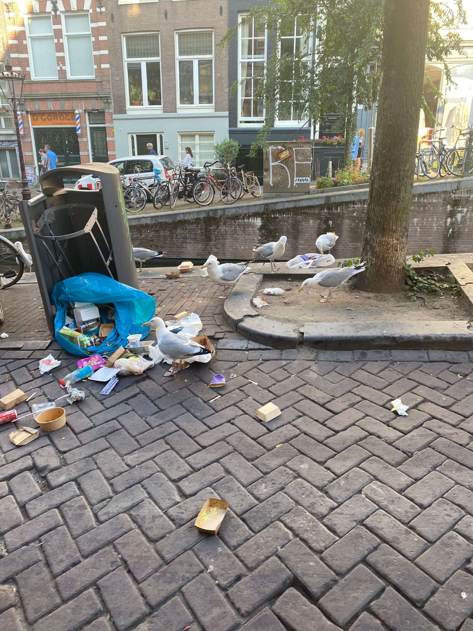 trash